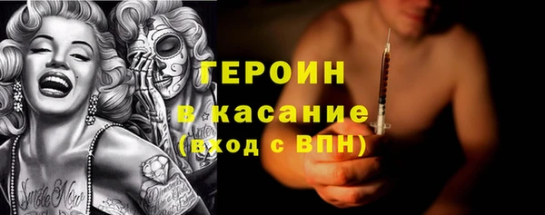 СК Новодвинск