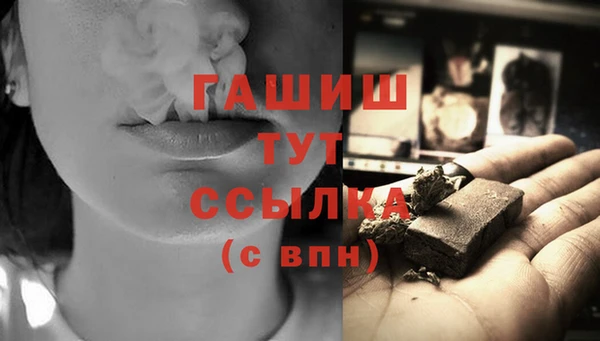 СК Новодвинск