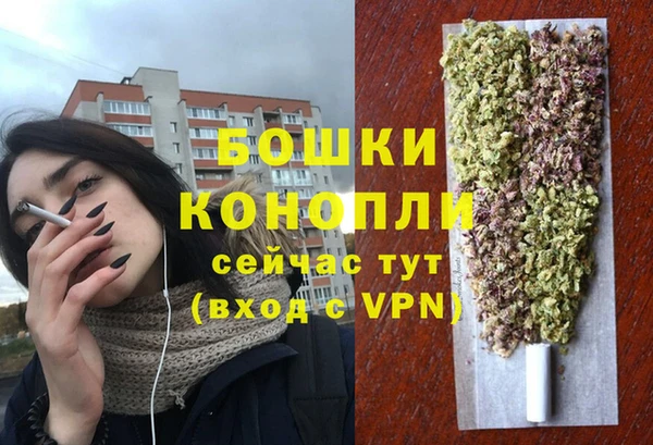 СК Новодвинск