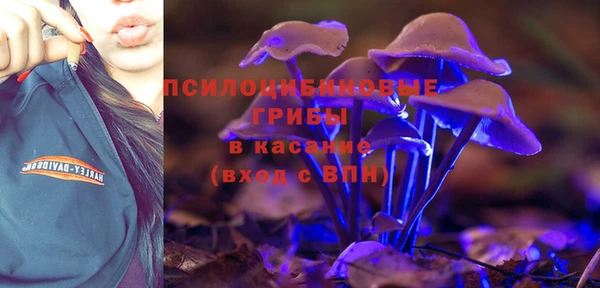 СК Новодвинск