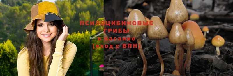Галлюциногенные грибы мицелий  Смоленск 