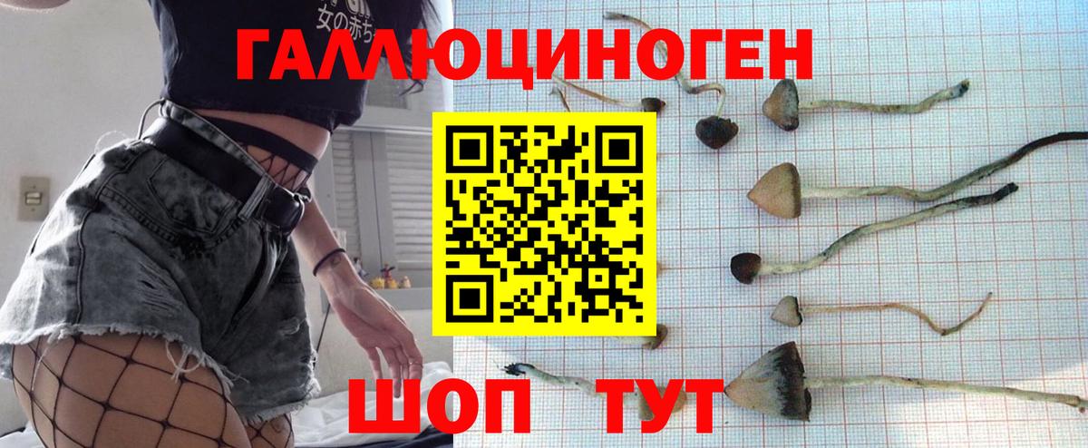Смоленск  Галлюциногенные грибы прущие грибы  Вход с VPN  цены   Галлюциногенные грибы Cubensis 